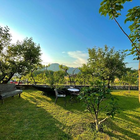 Country House Djurisic Virpazar Exteriér fotografie