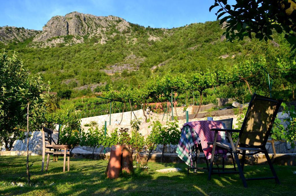 Country House Djurisic Virpazar Exteriér fotografie