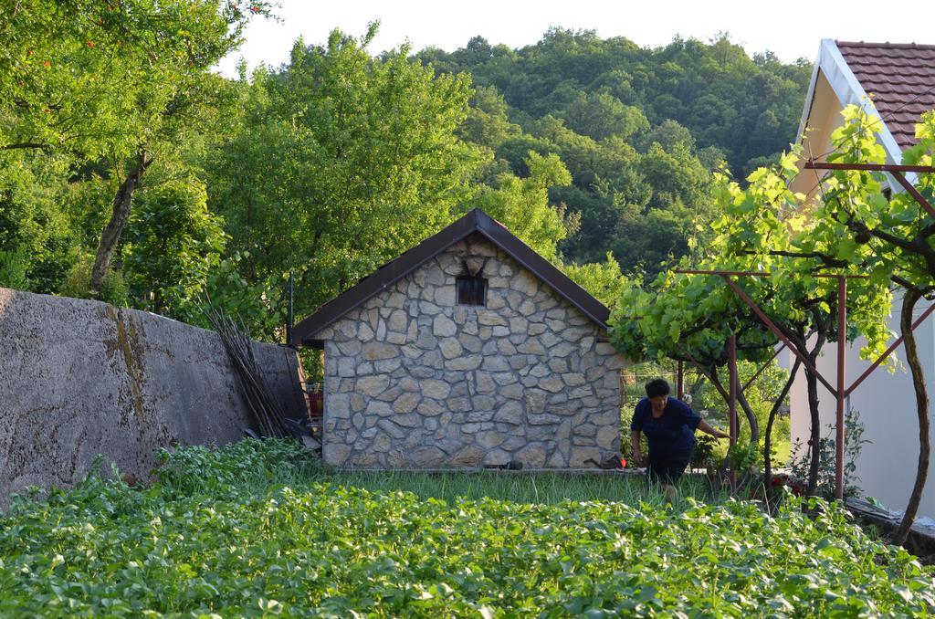 Country House Djurisic Virpazar Exteriér fotografie